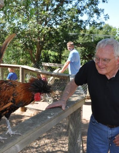 Heartwood Senior living : Here Chicky Chicky