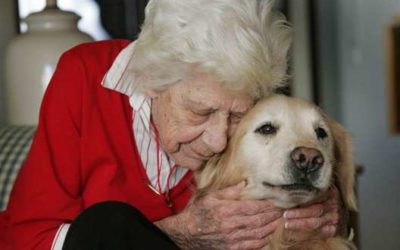 Pet Therapy & Memory Loss