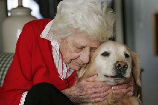 Pet Therapy & Memory Loss